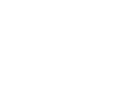 Lucas B. C. Vaz signature